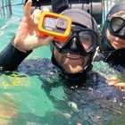 Shark Cage Diving Shark Cage Diving