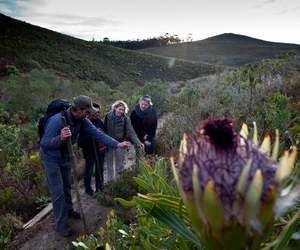 Nature Guide Position on the Fynbos Trail