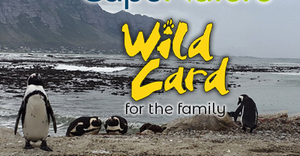 Question 2: CapeNature “Win a Wild Card” Competition 2022