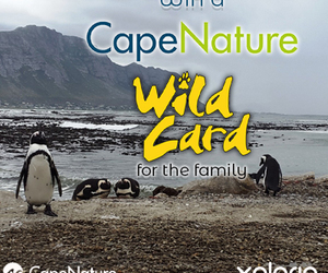 Question 2: CapeNature “Win a Wild Card” Competition 2022