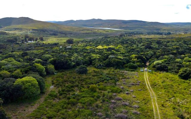 farm_Baardskeerdersbos_1644389736