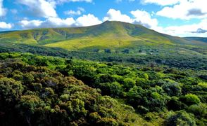 R8,500,000 | 42Ha Farm For Sale in Baardskeerdersbos