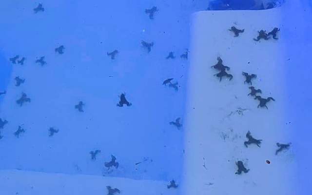 273589705_251515920489894_6110903873296419859_n_1644488152 273589705_251515920489894_6110903873296419859_n_1644488152