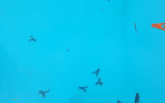 273721632_251514993823320_6833120092930949285_n_1644488154 273721632_251514993823320_6833120092930949285_n_1644488154