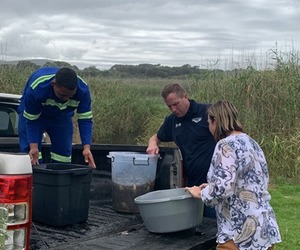 ONRUS VERMONT PLATANNA RELOCATION UPDATE 10.02.2022 @ 10:30