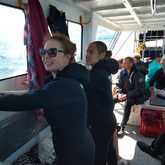 Shark Cage Diving - White Shark Projects - Xplorio™ Gansbaai