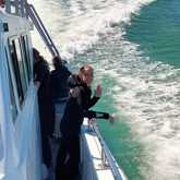 Shark Cage Diving - White Shark Projects - Xplorio™ Gansbaai