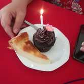 Cupcake - Cake Delights - Xplorio™ Bredasdorp