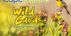 Question 3: CapeNature “Win a Wild Card” Competition 2022