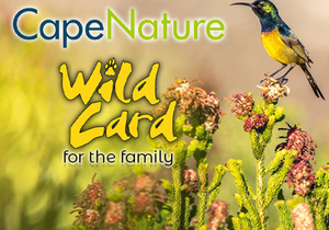 Question 3: CapeNature “Win a Wild Card” Competition 2022
