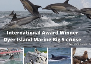 Next Dyer Island Marine Big 5 Tour: 15 February 2022