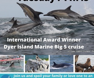 Next Dyer Island Marine Big 5 Tour: 15 February 2022
