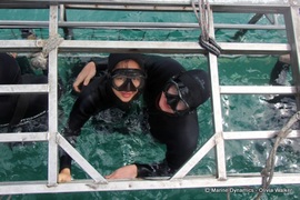 Daily Blog: 15 February 2022 | Shark Cage Diving in South Africa