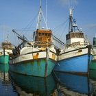 Town - Gansbaai Tourism Bureau - Xplorio™ Gansbaai