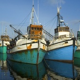 Town - Gansbaai Tourism Bureau - Xplorio™ Gansbaai