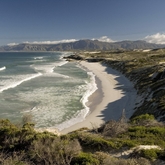 Walker Bay - Gansbaai Tourism Bureau - Xplorio™ Gansbaai