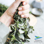 Mosquitoes can dampen an otherwise great camping experience