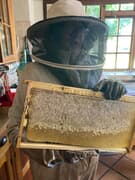 Real Honey, Real Milk, Real Cows, Real Farm