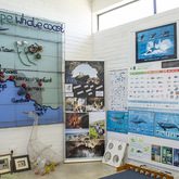 Whale Section - Gansbaai Tourism Bureau - Xplorio™ Gansbaai 