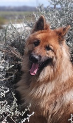 Shen_in_Mpepo_1645442697