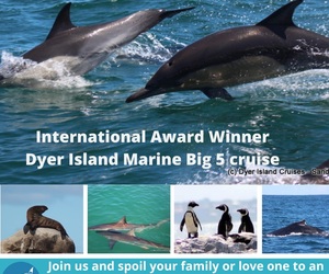 Next Dyer Island Marine Big 5 Tour: 23 February 2022