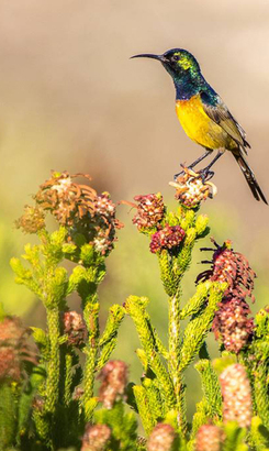 5_1636610105_1__1645540782