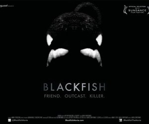 Blackfish - Gansbaai Daily News