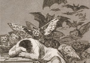 The Sleep of Reason