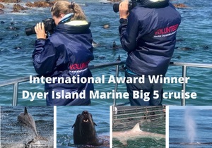 Next Dyer Island Marine Big 5 Tour: 1 March 2022
