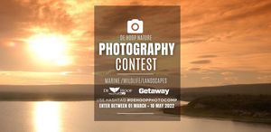De Hoop Nature Photography Contest