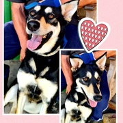 Prinses and Oortjies - Ready to be Adopted