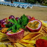 The Fig Tree Restaurant: Summer in a picture - De Hoop Collection - Xplorio™ Bredasdorp