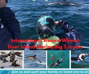 Next Dyer Island Marine Big 5 Tour: 9 March 2022