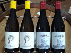 In Stock: Sons of Sugarland