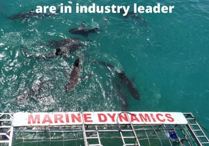 Next Marine Dynamics Shark Cage Diving Trip: 11 + 12 March 2022