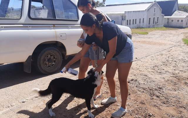 275682304_326185392876450_4236364311224914244_n_1646989570