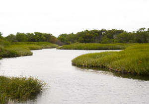 Nuwejaars River near Elim