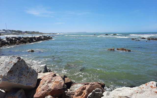 Weekend_Adventures_of_the_Fishy_Kind_1_1_1647246175