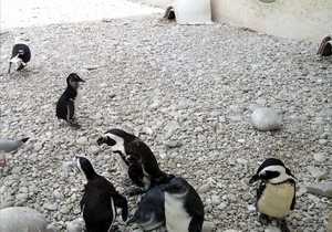 Weekend Adventures of the ‘fishy’ kind!