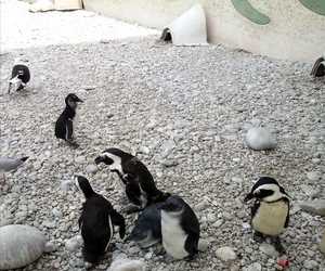 Weekend Adventures of the ‘fishy’ kind!