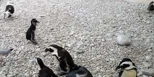 Weekend_Adventures_of_the_Fishy_kind_4_1_1647246177