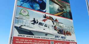 Weekend_Adventures_of_the_Fishy_kind_5_1647246177