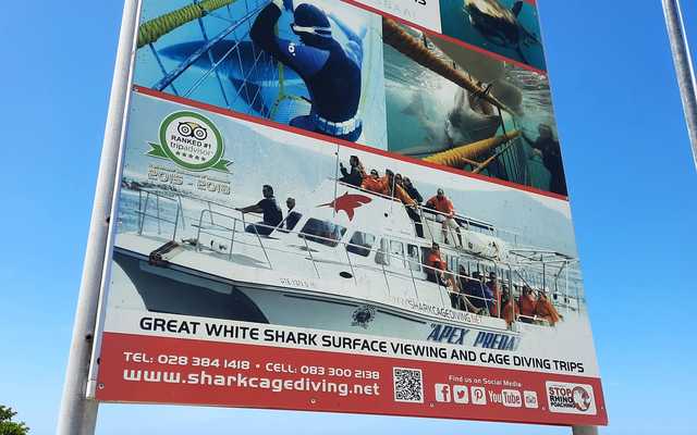 Weekend_Adventures_of_the_Fishy_kind_5_1647246177