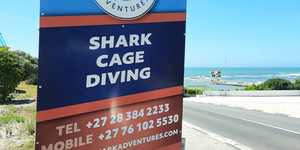 Weekend_Adventures_of_the_Fishy_kind_6_1647246178