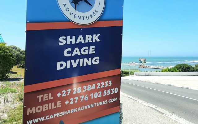 Weekend_Adventures_of_the_Fishy_kind_6_1647246178