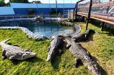 ca46585e_9e6d_433e_a9ae_a1e500126269_1647267005