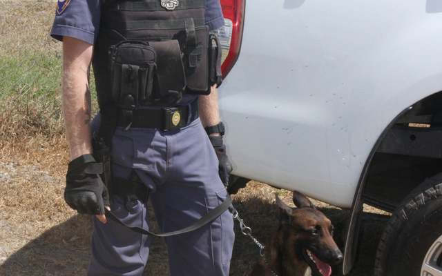 275796608_276381434670009_7053666085375433942_n_1647340890 275796608_276381434670009_7053666085375433942_n_1647340890