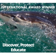 Next Marine Dynamics Shark Cage Diving Trip: 18 March 2022