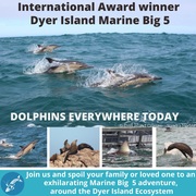 Next Dyer Island Marine Big 5 Tour: 18 March 2022