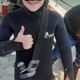 Shark Cage Diving - White Shark Projects - Xplorio™ Gansbaai